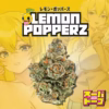 SUPERDOPE LEMON POPPERZ 3.5G